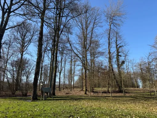 Hébergement dans l'Avesnois : Réveillez-vous au cœur de la nature !, Le Cateau-Cambrésis, Château de Vendegies au Bois